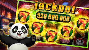 win999 bet
